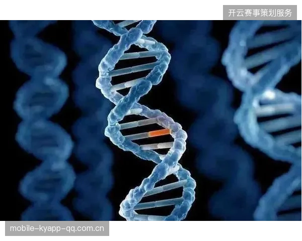 加拿大落入节奏差异明显的小组，出线预测呈现两极